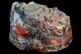 Beautiful Condor Agate From Argentina - Cut/Polished Face #79501-2